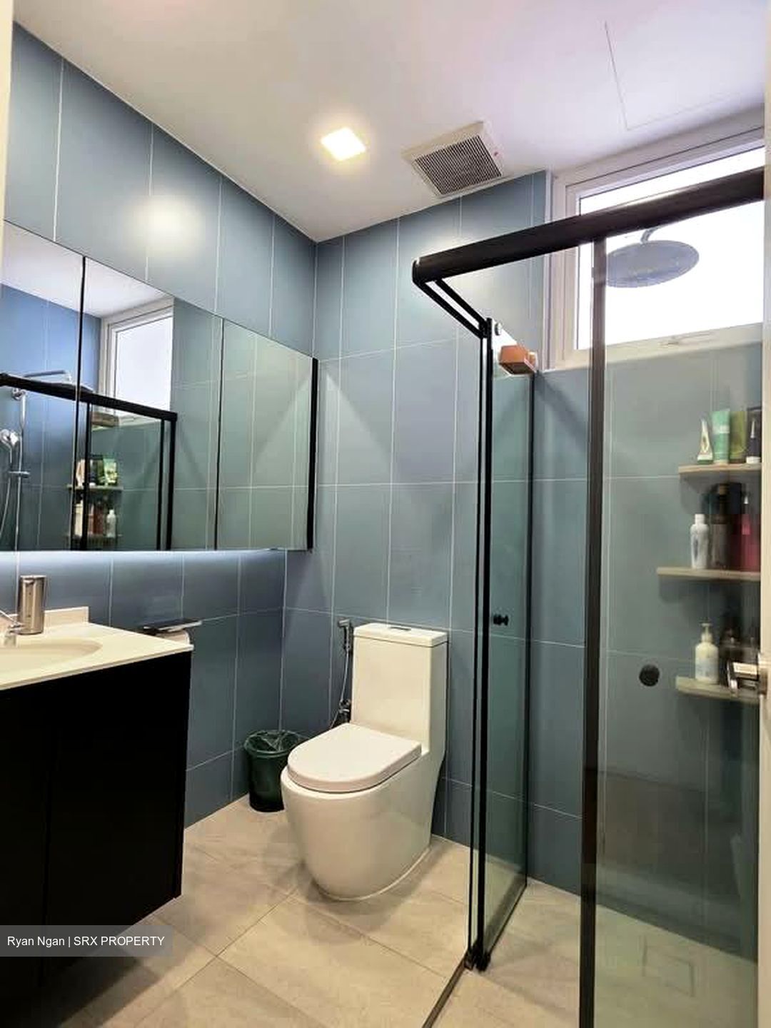 Blu Coral (D15), Condominium #575127391